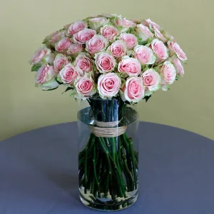 Elite Roses(الإتي رسس)