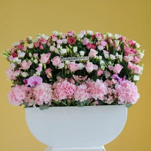 luxury Pink(الوردي الفاخر)