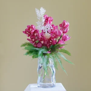 Elite Cymbidium(النخبة سيمبيديوم)