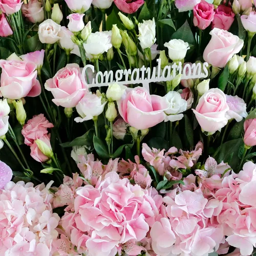 luxury Pink(الوردي الفاخر)