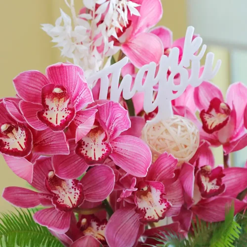 Elite Cymbidium(النخبة سيمبيديوم)