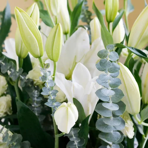 Happy lilie’s-2(زنابق سعيدة-2)