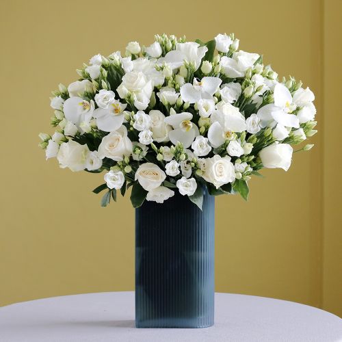 Happy White Bliss-2(سعيد النعيم الأبيض-2)