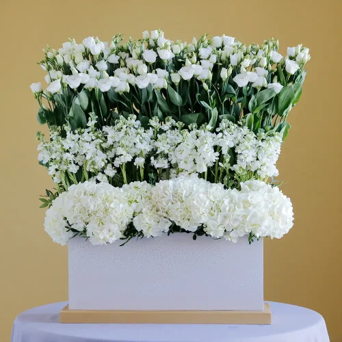 Perfect White(برفكت وهيت)