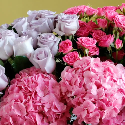 Rose with Hydrangeas(روس وإذ حيدرنجس)