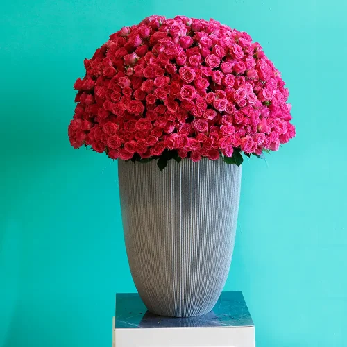 Love in  Pink(لف إن بينك)