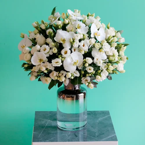 Happy White Bliss-3(سعيد النعيم الأبيض-3)