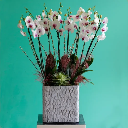 Classic Red Lips-3(شفاه حمراء كلاسيكية-3)