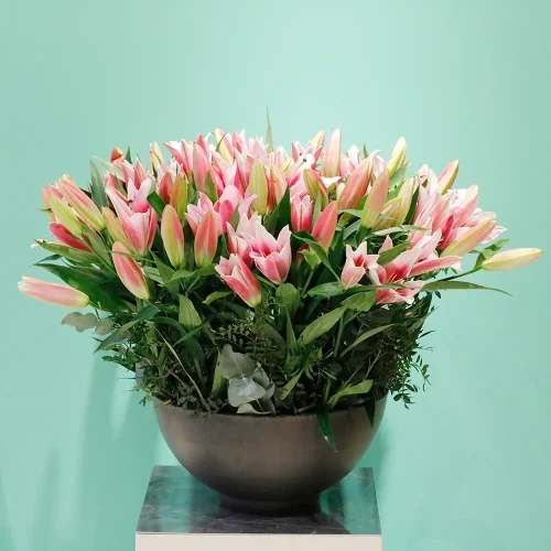 Opera Pink Lilies-1(أوبرا الزنابق الوردية-1)