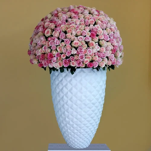 Royal Roes-1(ريال روس-1)