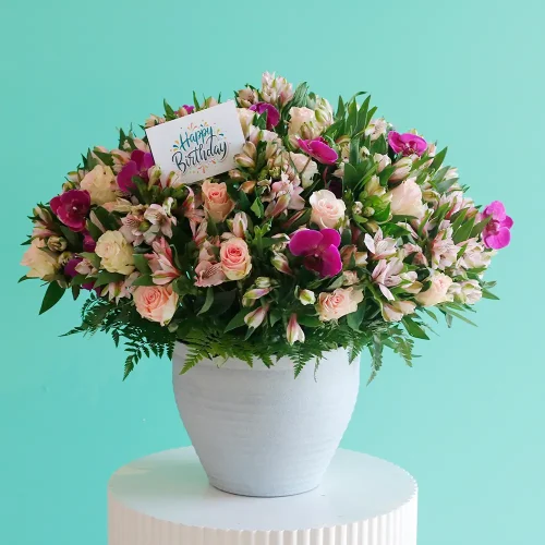 Happy Colorful (حبي كولورفل)