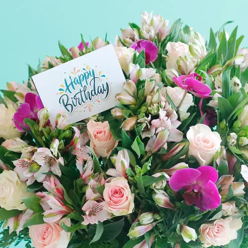 Happy Colorful (حبي كولورفل)