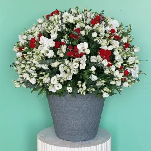 Lisianthus Round(ليزيانثوس  دائري)