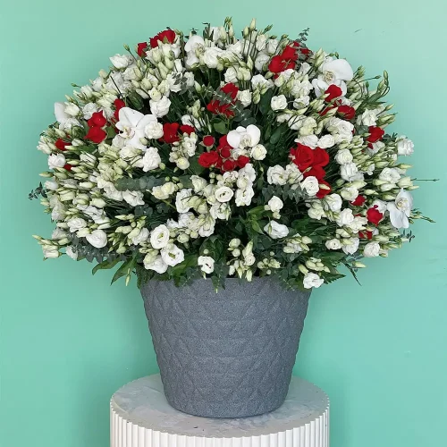 Lisianthus Round(ليزيانثوس  دائري)