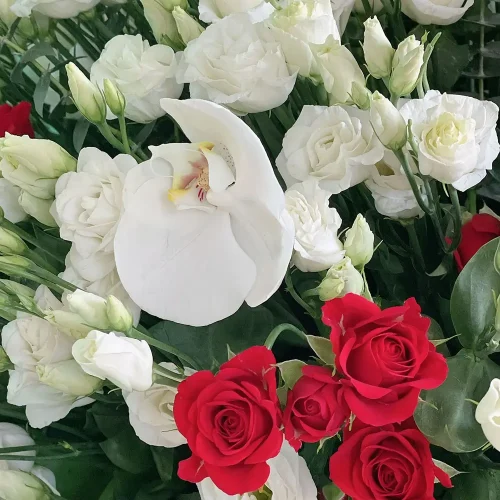 Lisianthus Round(ليزيانثوس  دائري)