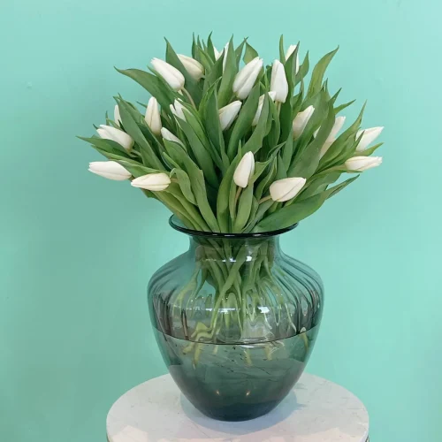 Luxury Tulips-1(لكسر تلبس-1)