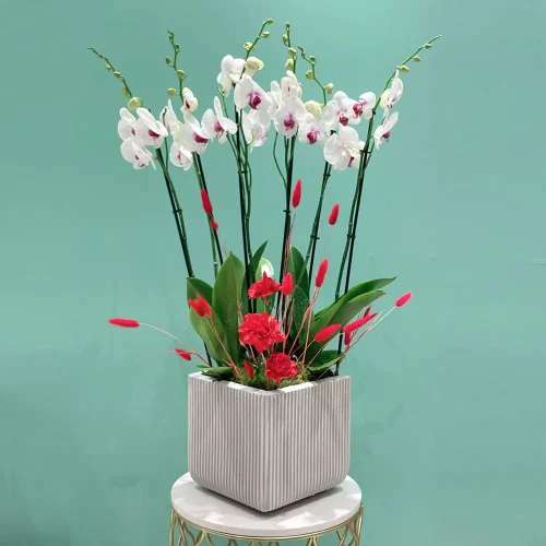 Classic Red Lips-4(كلاسيك رد لبس-4)