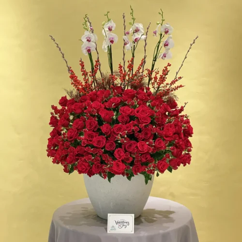 Special Happy Valentine’s(سبشل حبي فالنتين)