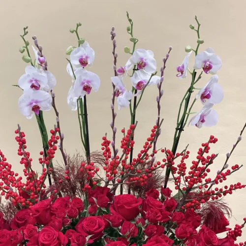 Special Happy Valentine’s(سبشل حبي فالنتين)