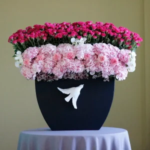 Pink Shadow (ظل وردي)