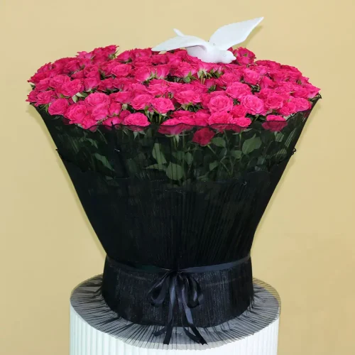 Pink Garden (الحديقة الوردية)