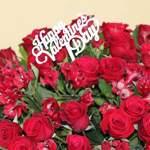 Special Happy Love(سبشل هابي لوف)