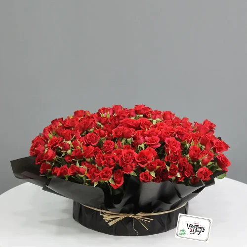 Lovely Baby Rose(لوفلي بابي روس)