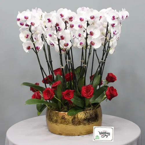 Red Lips with Rose(شفايف حمراء مع ورد)