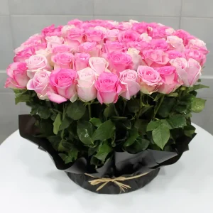 Pink Roses SF(بينك رسيس صف)
