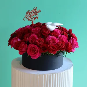 Love in Roses(لف إن رسس)