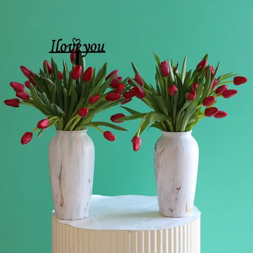 Happy Tulip-1(حبي توليب-1)