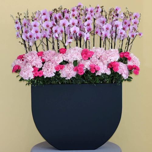 Luxury Pink-1(لكسر بينك-1)