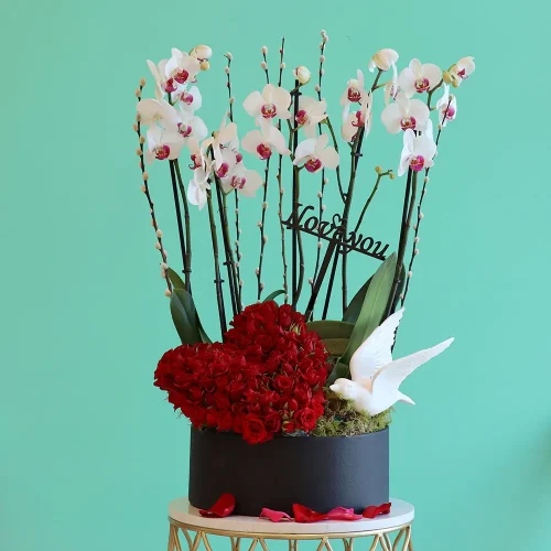 Fancy Orchid(أوركيد فاخر)