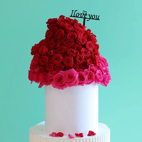 Lovely Roses(الورود الجميلة)