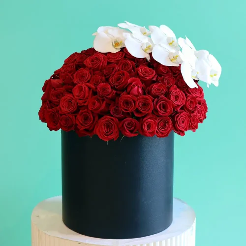 Lovely Roses with orchid(ورود جميلة مع زهرة الأوركيد)