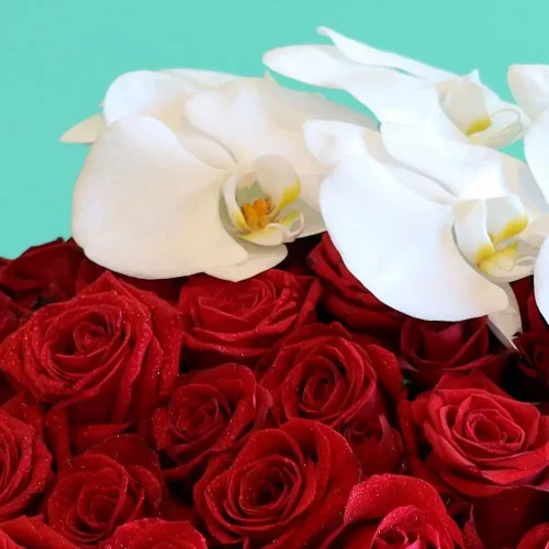 Lovely Roses with orchid(ورود جميلة مع زهرة الأوركيد)