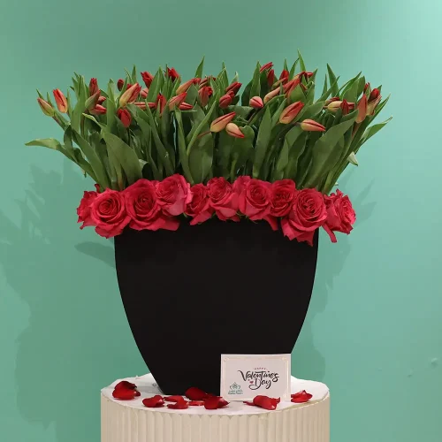 Lovely Tulip(توليب جميل)