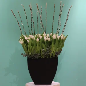 Simple Tulip(توليب بسيط)