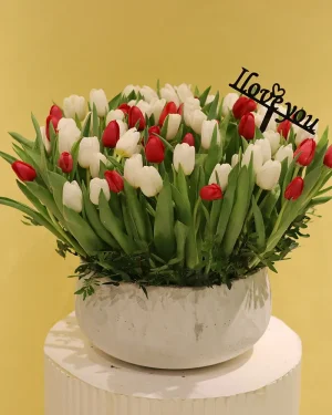 Amazing Tulip(توليب مذهلة)