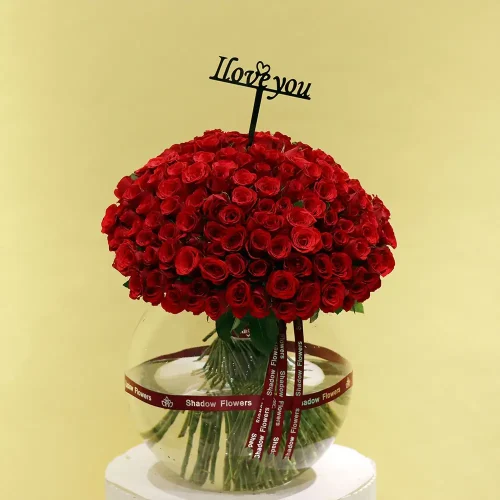 Surprising Roses(مفاجأة الورود)