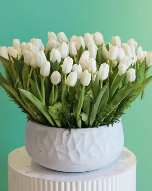 Amazing Tulip-1(توليب مذهلة-1)