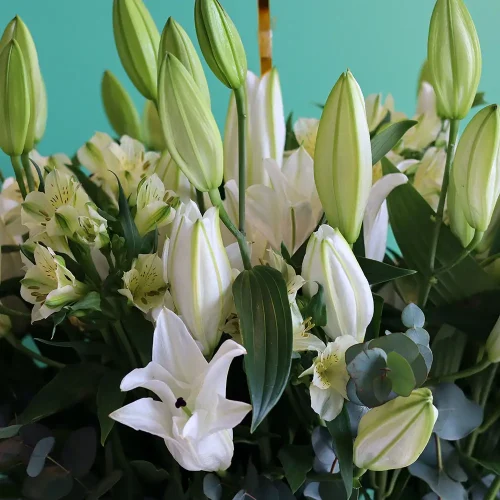Luxurious Lilies