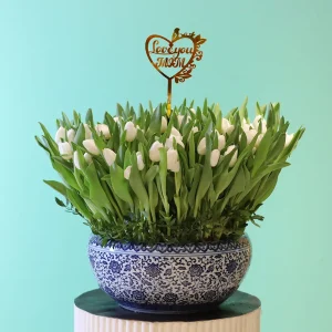 Happy Tulip-2(حبي توليب-2)