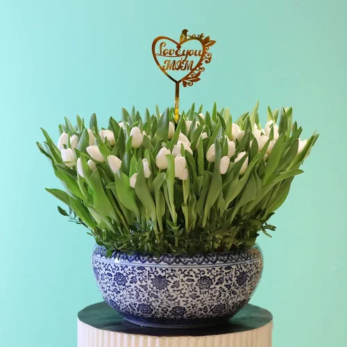 Happy Tulip-2(حبي توليب-2)