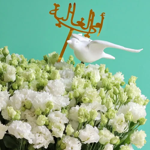 Bloom Eustoma(بلوم يوستوما)