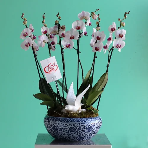 Perfect Arrange(الترتيب المثالي)