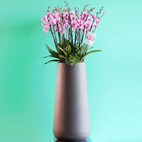 Forever Mom(أمي للأبد)