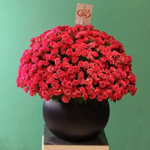 Pink round bouquets-2(باقات مستديرة وردية-2)