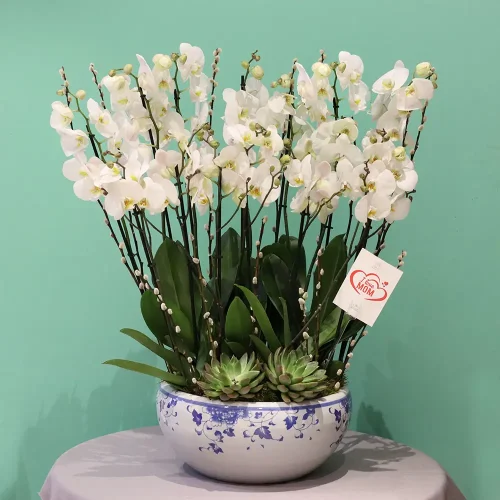 Happy Mom(أمي السعيدة)