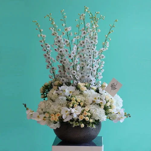 Eid Special(خاص بالعيد)